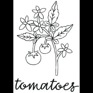 tomato plant clipart black and white